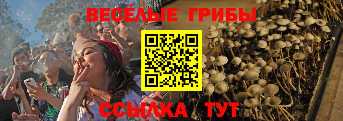 Псилоцибиновые грибы Cubensis  Вход с VPN  дарнет шоп  Южно-Сахалинск 