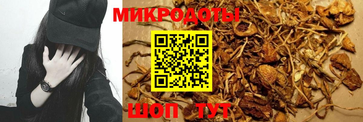 Галлюциногенные грибы прущие грибы Южно-Сахалинск